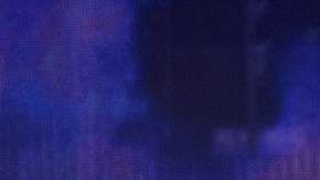 Adamari López, Toni Costa.