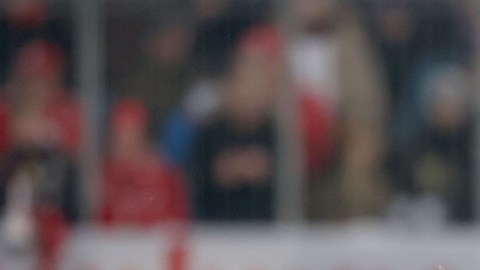 FC Bayern München v Sport-Club Freiburg - Bundesliga