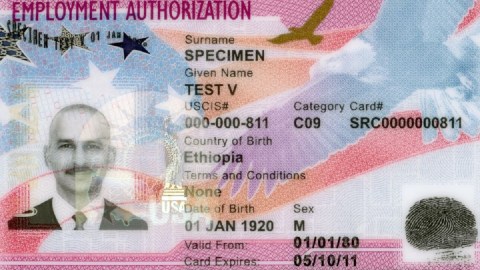 Tarjeta de Autorización de Empleo.