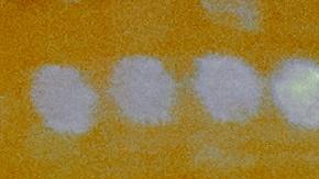 Beneficios de la gelatina