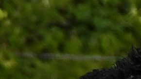 Honduras anunció su primera convocatoria de 2022