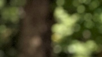 Brenda Cruz  asegura sentirse más saludable, física y mentalmente, gracias a formar parte de este grupo de corredores.