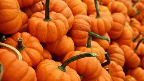 Calabazas para la diabetes