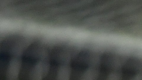 David Neres regala un lujo en los entrenamientos del Ajax