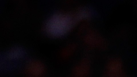 Ex NBA Deron Williams debutará como boxeador