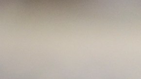 Diego Maradona fue enterrado sin su corazón