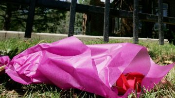 Hallan en Colorado los cuerpos de una familia en homicidio-suicidio