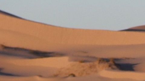 Lanzan un SOS para un mexicano que lleva 13 días perdido en el desierto entre México y EE.UU.