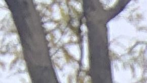 La mexicana Reyna Téllez junto a sus dos hijos, quienes aplicaron al plan de alivio de rentas desde julio, aún no reciben respuesta