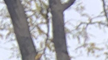 La mexicana Reyna Téllez junto a sus dos hijos, quienes aplicaron al plan de alivio de rentas desde julio, aún no reciben respuesta