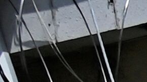 FOTOS: Capturada una banda en El Salvador por traficar personas a EE.UU.