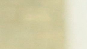 Los neoyorquinos acuden este martes a las urnas para escogerá los principales cargos municipales de la Ciudad, incluyendo el Alcalde.