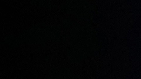 elon-musk-encuesta-twitter