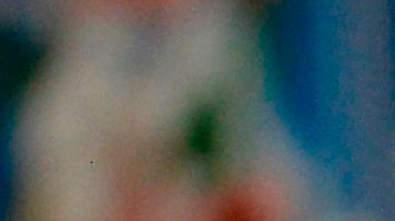 FC Porto es investigado por presunto caso de corrupción