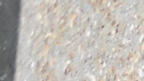 Sarah Jessica Parker