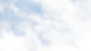 La pareja se grabó teniendo sexo oral en la parte trasera de la patrulla.