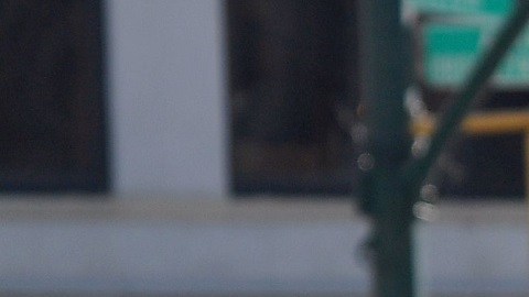 El frío llega a Nueva York a partir del miércoles; habrá nevadas leves en algunas zonas