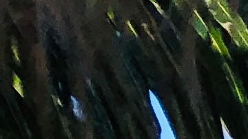 Tiroteo cerca del hotel Hyatt Ziva en puerto Morelos deja 2 muertos.