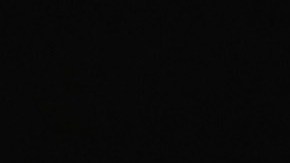 Joe Biden pide unión en los demócratas