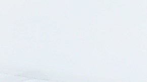 Policía de Baltimore