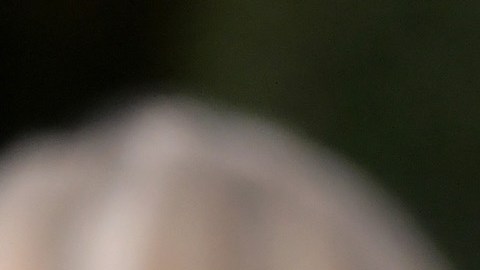 Billie Eilish sube foto en topless para promocionar su nuevo perfume