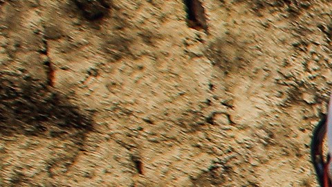 La variante ómicron llega a Latinoamérica a través de Brasil