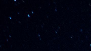 El 4660 Nereus viajará a unas diez veces la distancia entre la Tierra y la Luna.