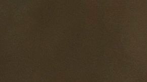 La Antorcha Guadalupana llegará a Nueva York el 12 de diciembre.