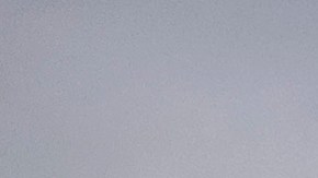 El 6 de enero, los seguidores de Trump invadieron el Capitolio.