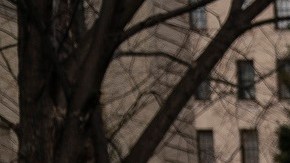 Los portadores de TPS presionan para una solución migratoria permanente.