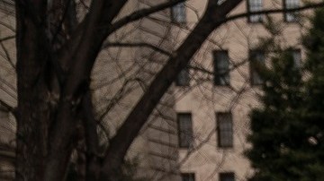 Los portadores de TPS presionan para una solución migratoria permanente.