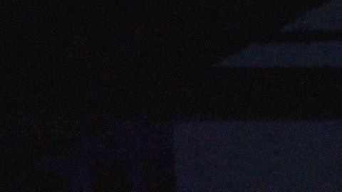 Bjas temperaturas NYC