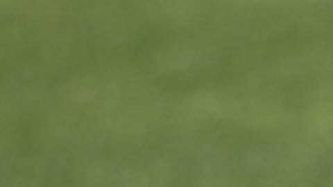 Renato Sanches