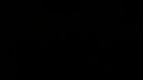 Asesinatos en Puerto Rico en medio del ausentismo policial.