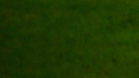 Di María Vinicius