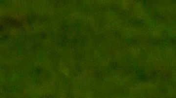 Neymar y Messi
