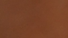 Estados Unidos cancelará Visas a quienes falsifiquen certificados de vacunación contra COVID-19