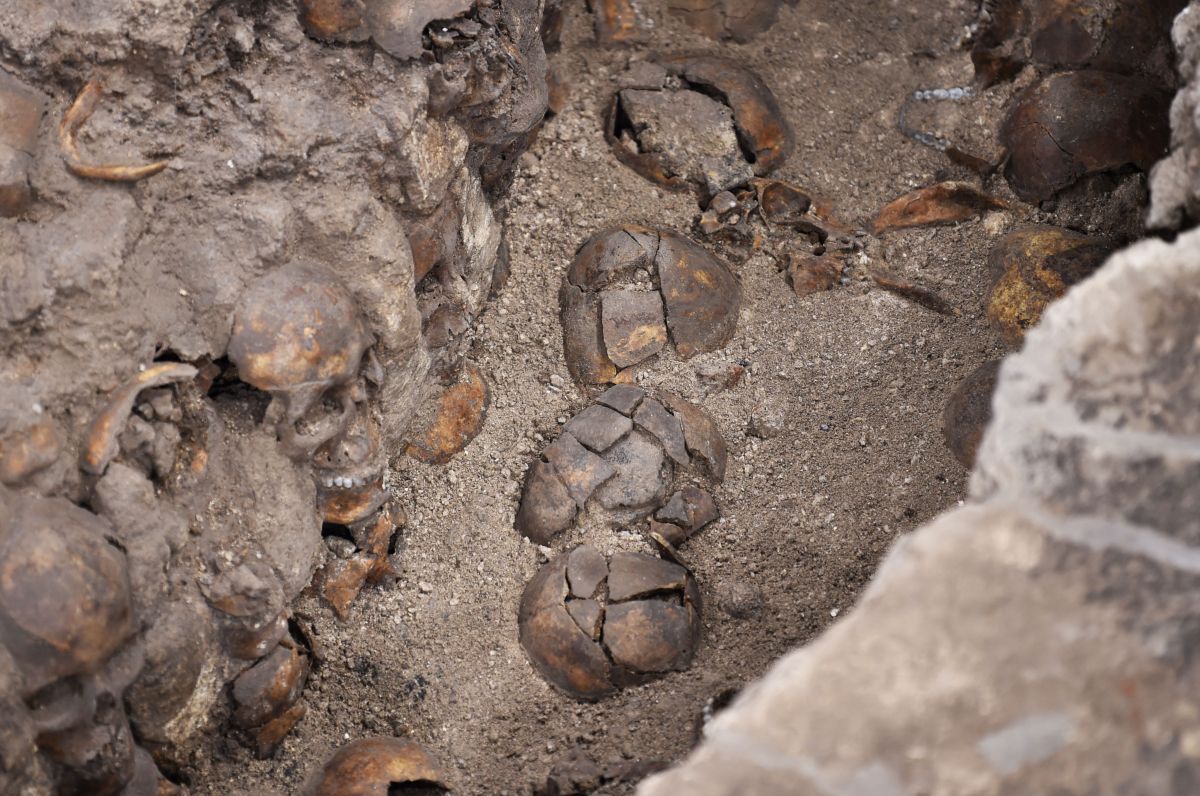 Photos: Mexican offering deposited after the invasion of Tenochtitlan in CDMX is discovered