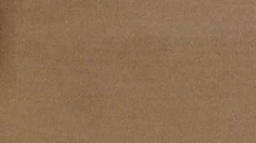 Juez de Carolina del Norte