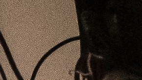 Paciente COVID19 Oregon