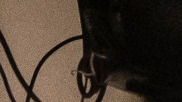 Paciente COVID19 Oregon