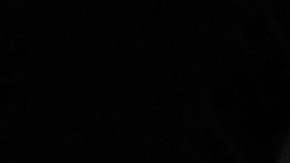 Crean “El juego del calamar nupcial”; a ritmo de cumbia “disparan” a invitados