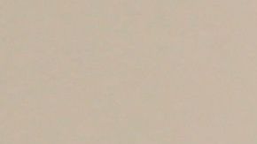 Frida Kahlo, Diego y yo