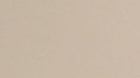 Frida Kahlo, Diego y yo