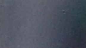 Xavi y Baghdad Bounedjah