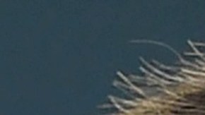 El exviceprimer ministro chino Zhang Gaoli habría abusado secualmente a la exnúmero 1 del mundo en dobles.