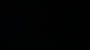 Marine v Tottenham Hotspur - FA Cup Third Round