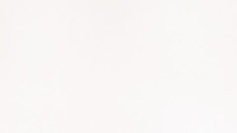 La princesa Charlène de Mónaco estuvo seis meses fuera del país