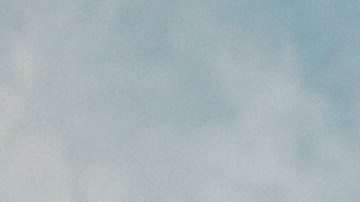 Carole Baskin y Howard Baskin