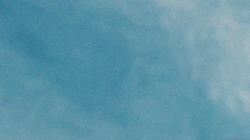 Carole Baskin y Howard Baskin